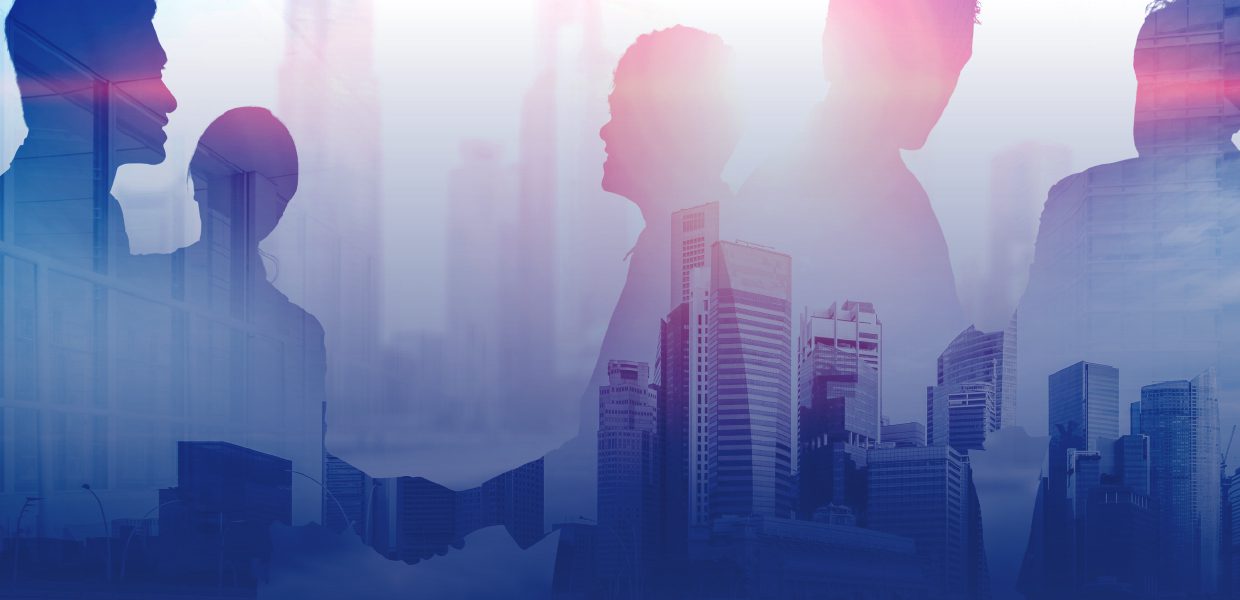 Island Portfolio Services